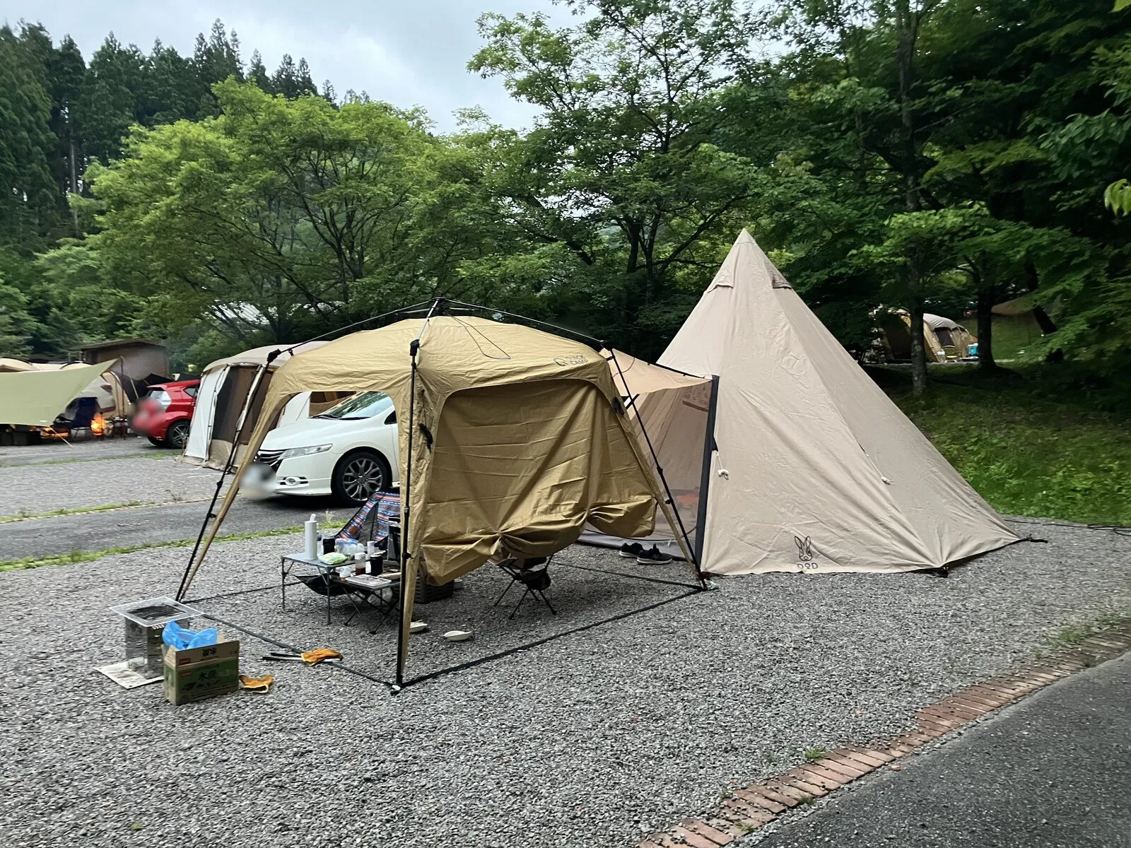 ウッディーエリアに張った2ルームテントとティピー