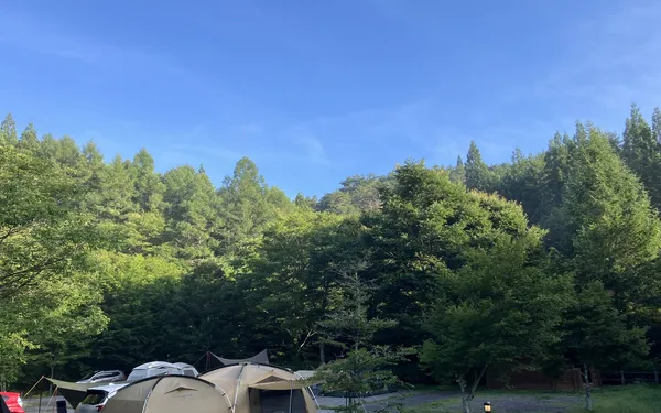 【愛知・設楽町】つぐ高原グリーンパーク 完全ガイド｜標高900mで涼しい！川遊びもできる星降る高原キャンプ場【子連れレビュー】