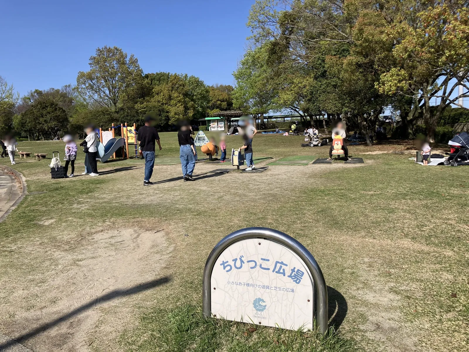 ちびっこ広場の全景