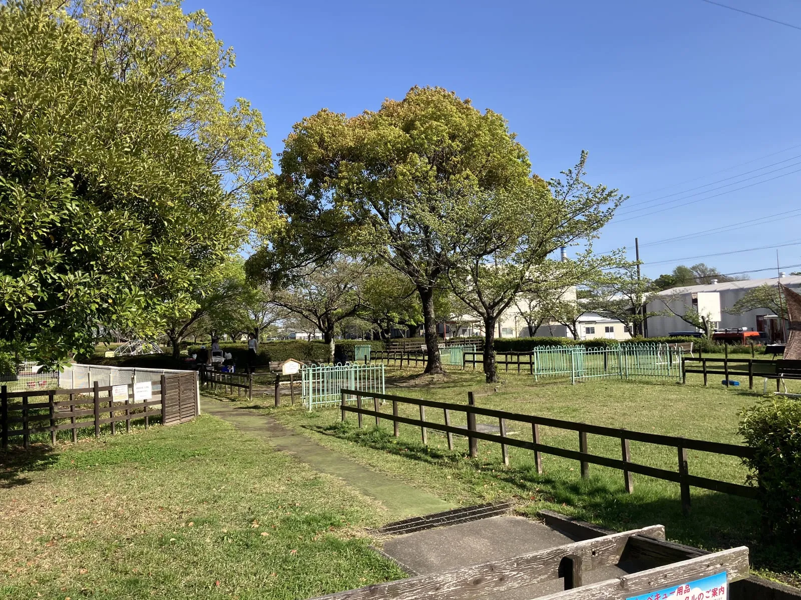 区画バーベキュー広場の全景