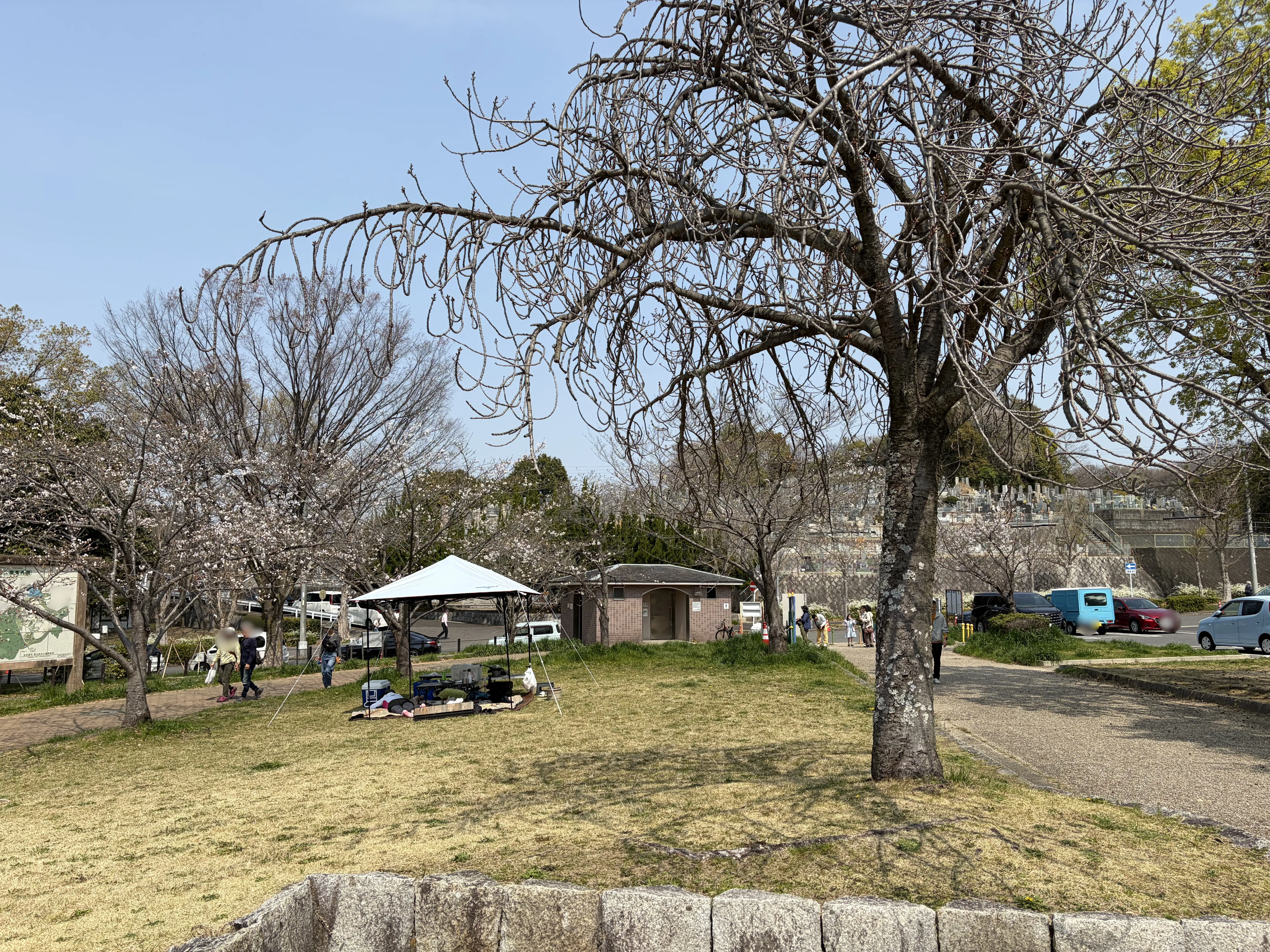 平和公園でテントを立ててのんびり過ごす様子