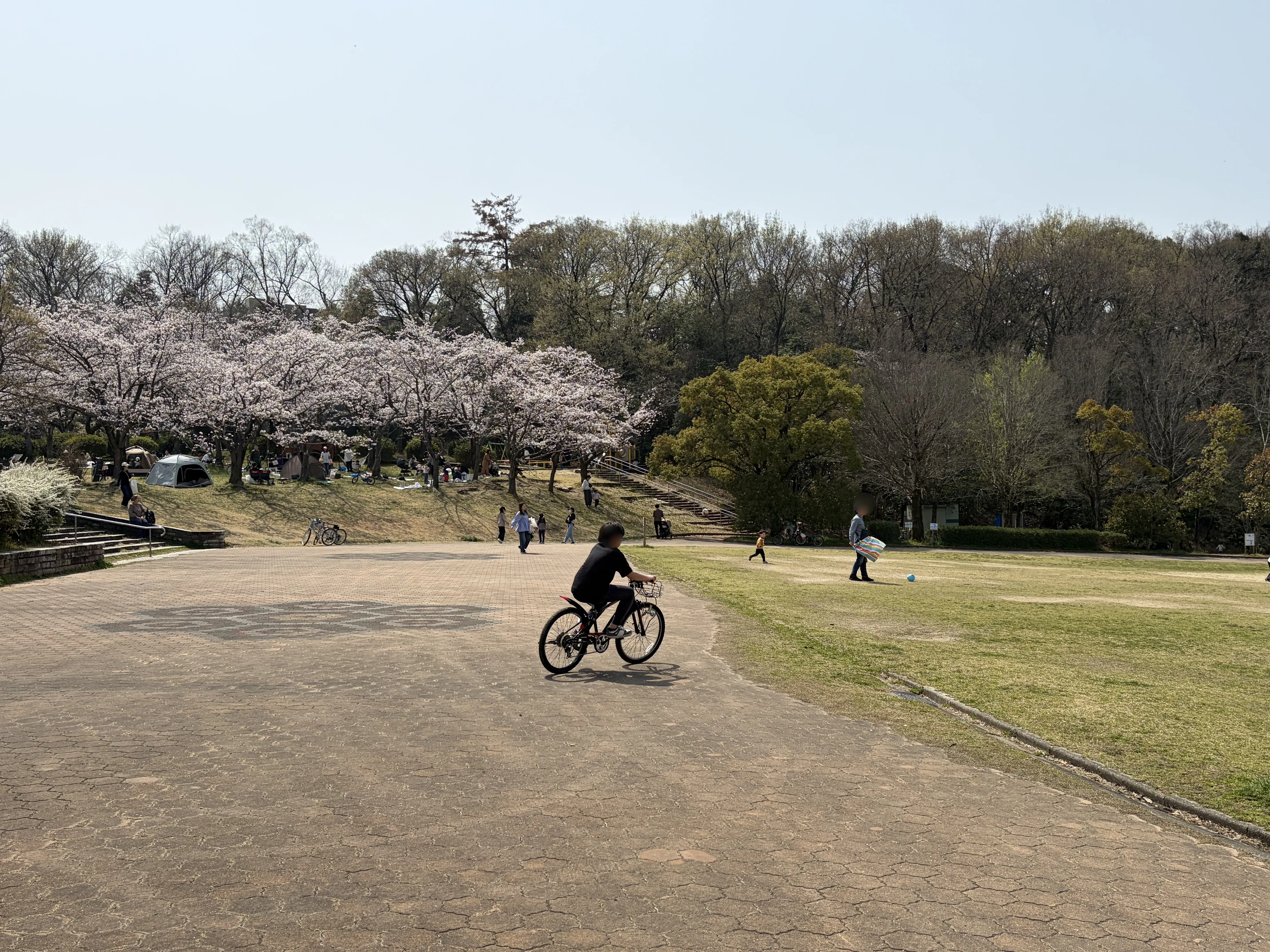 平和公園で自転車を練習する子どもの様子