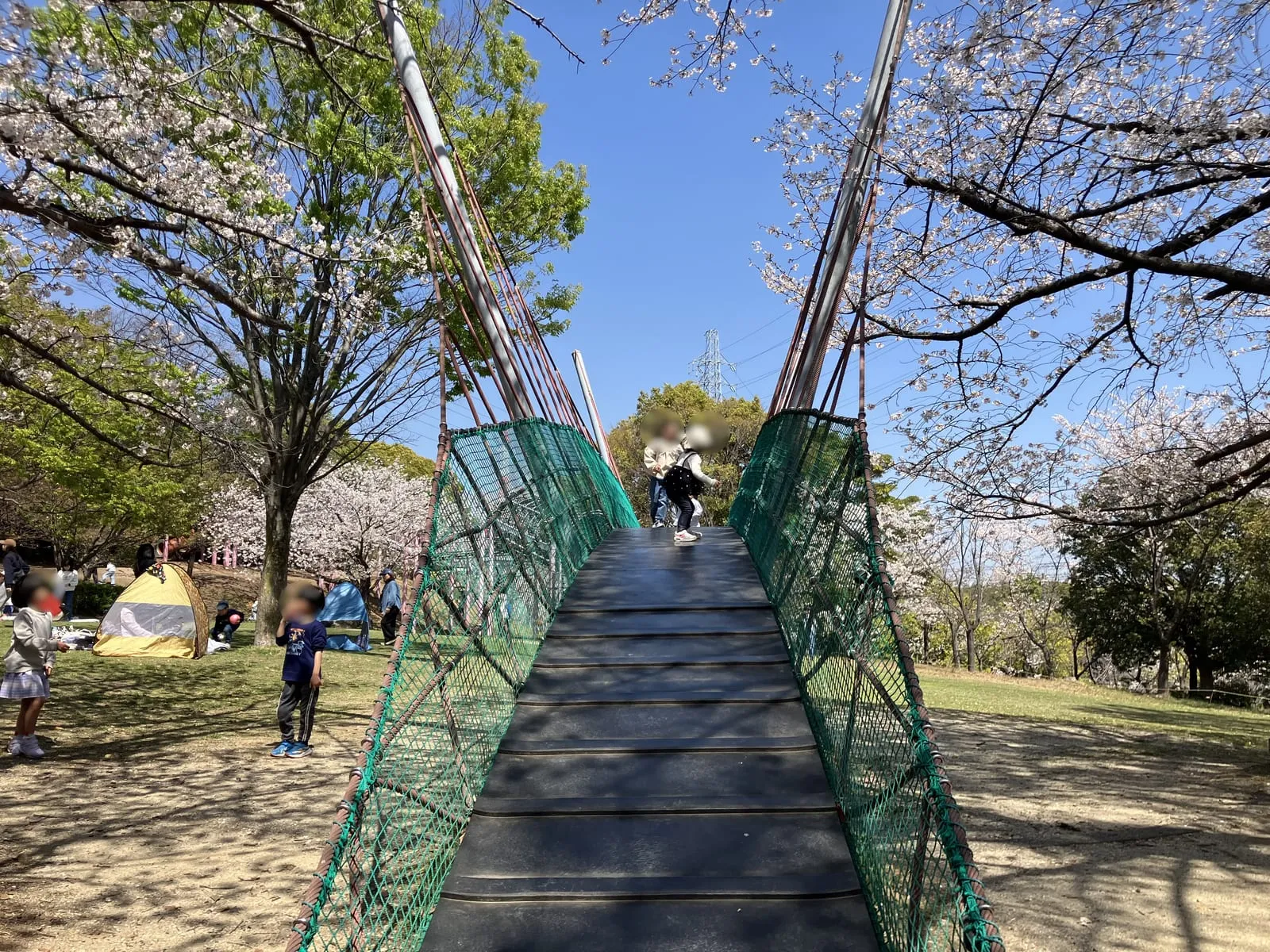 ネットの吊り橋などの大型遊具
