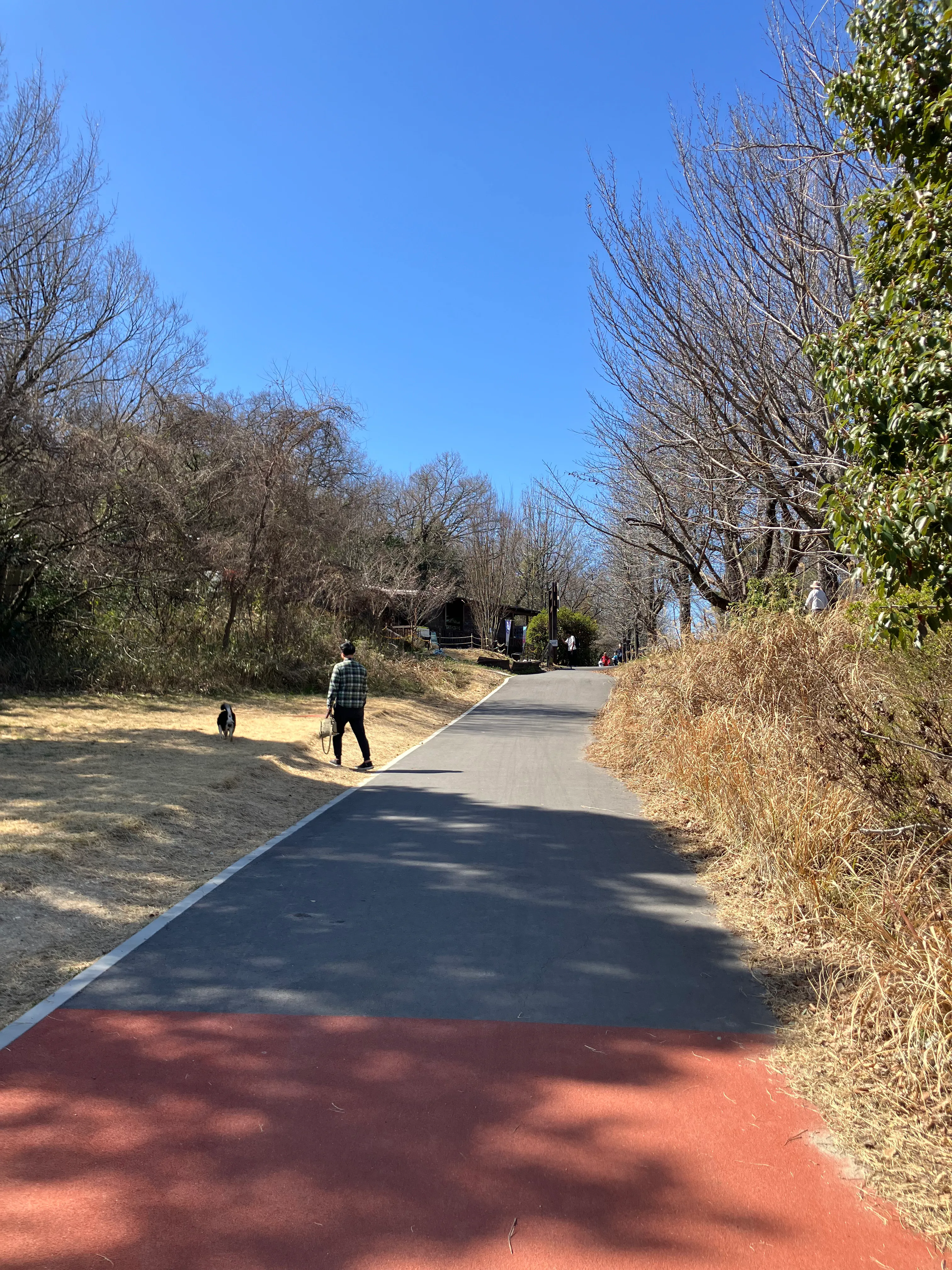 メルヘン広場からディノアドベンチャーまでの道