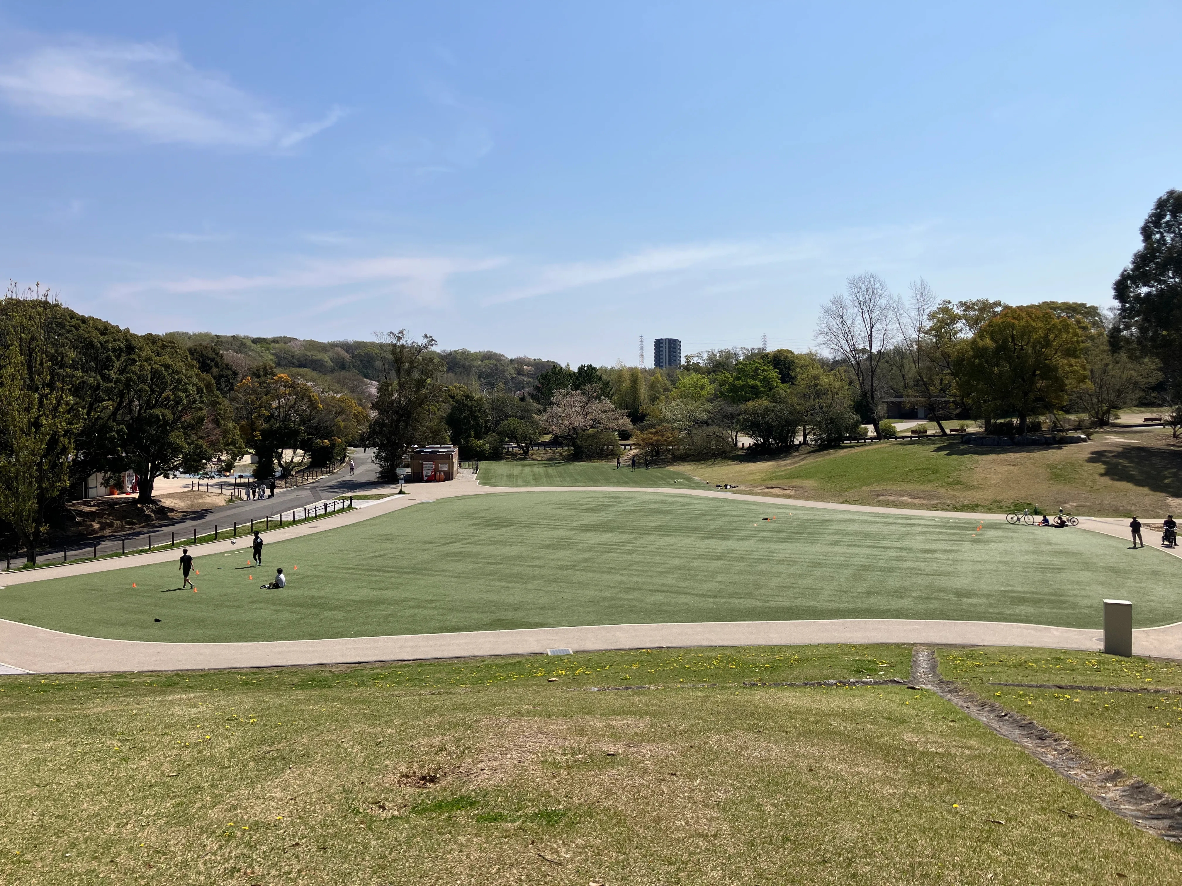 大高緑地若草山の芝生広場