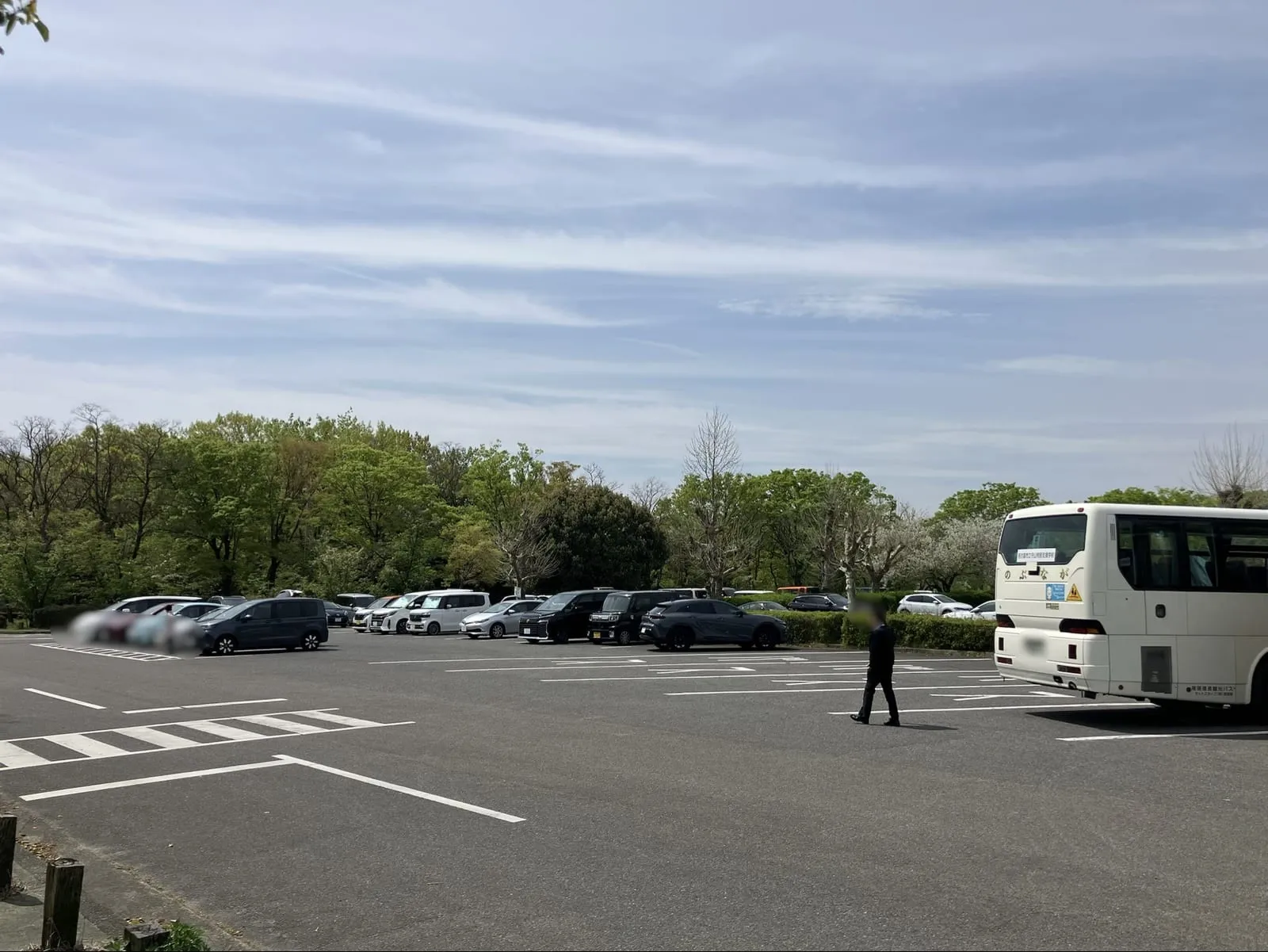 本園の大駐車場