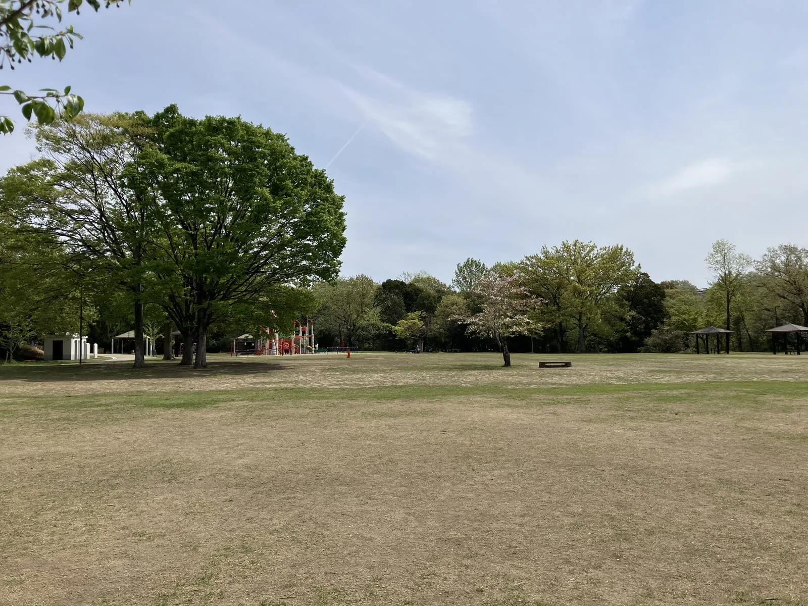 本園の広い芝生広場