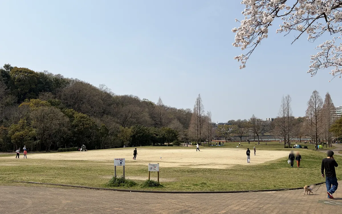 【名古屋】平和公園の完全ガイド｜子連れでの遊び方・駐車場・ピクニック情報まとめ