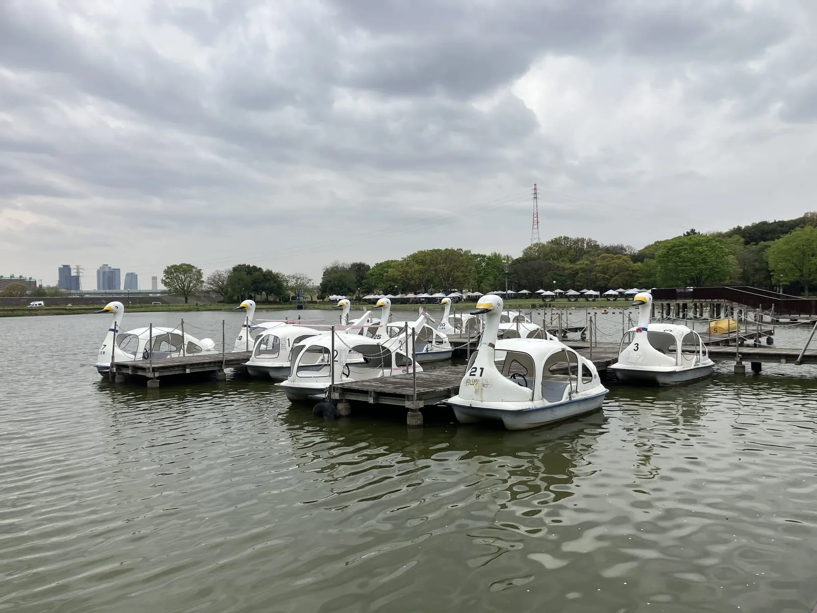 池に浮かぶ貸ボート