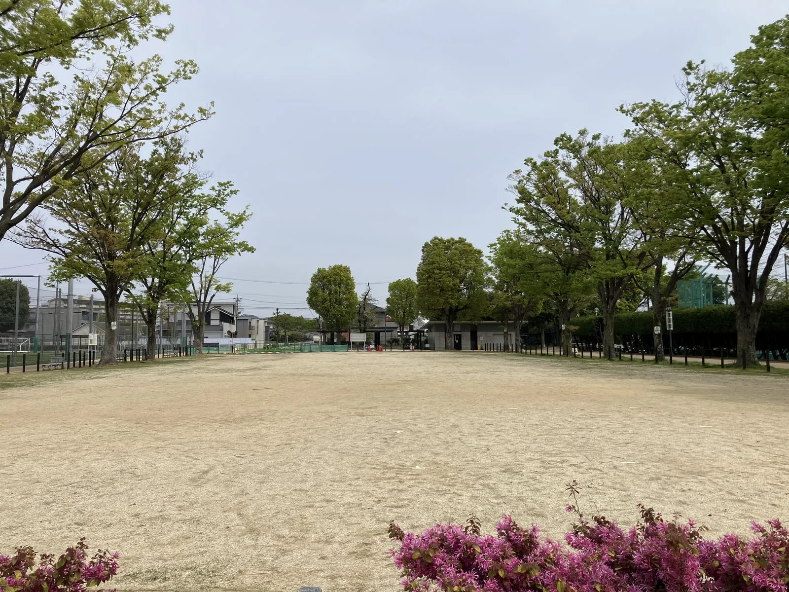 広い多目的の「みんなの広場」