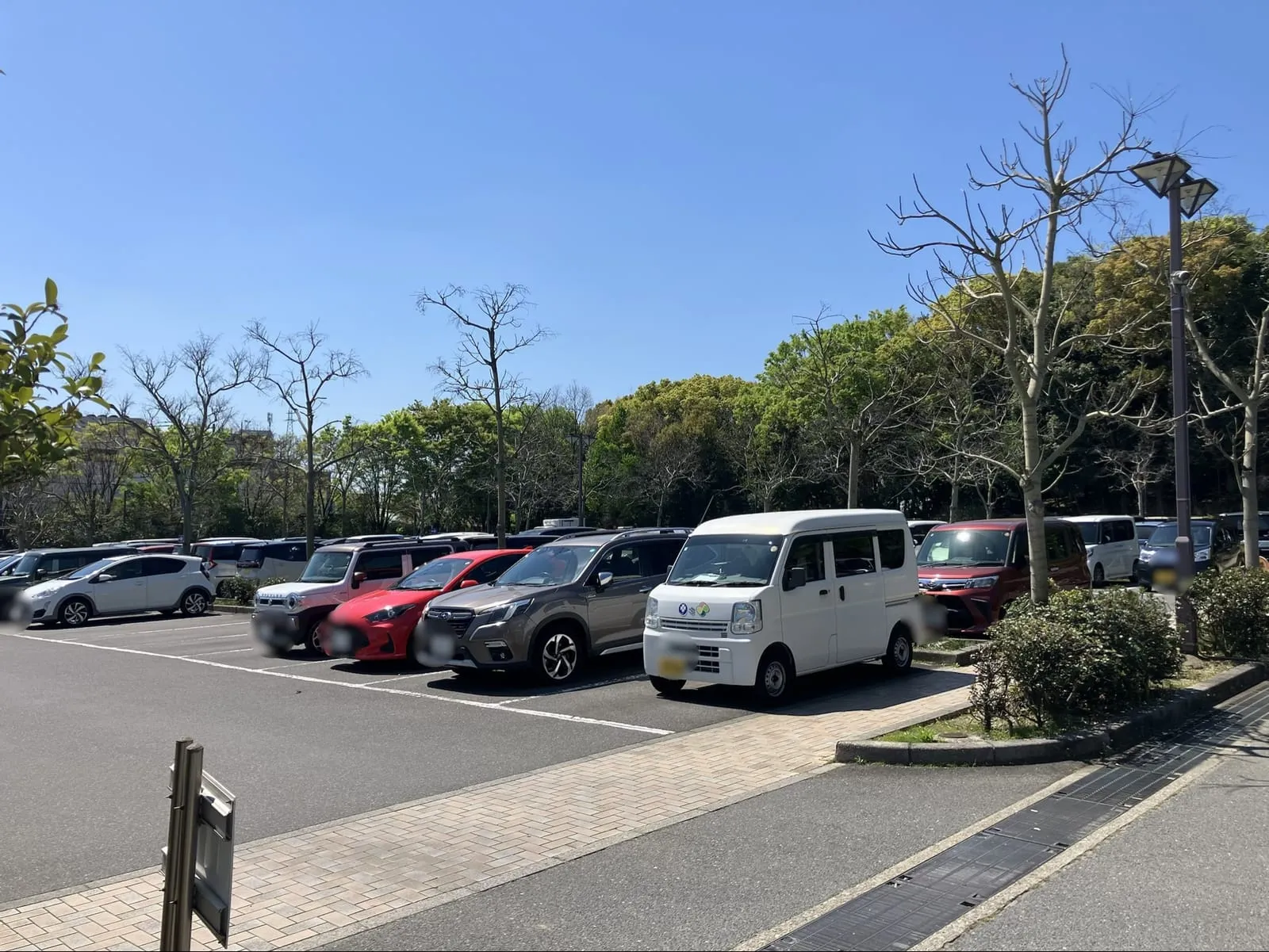 健康ふれあい交流館近くの駐車場