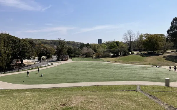広々とした芝生の公園